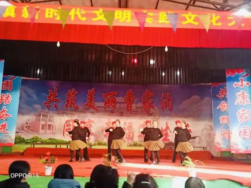 店上鎮(zhèn)新時(shí)代文明實(shí)踐 文化大舞臺(tái)文藝匯演譜寫(xiě)文明交流新篇章