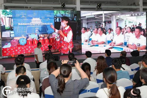 鄂臺(tái)兩地共話(huà)傳統(tǒng)布藝，云上交流助力文化傳承